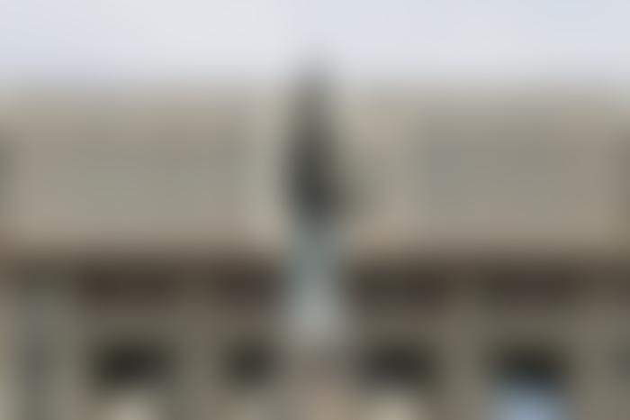 Demo Image