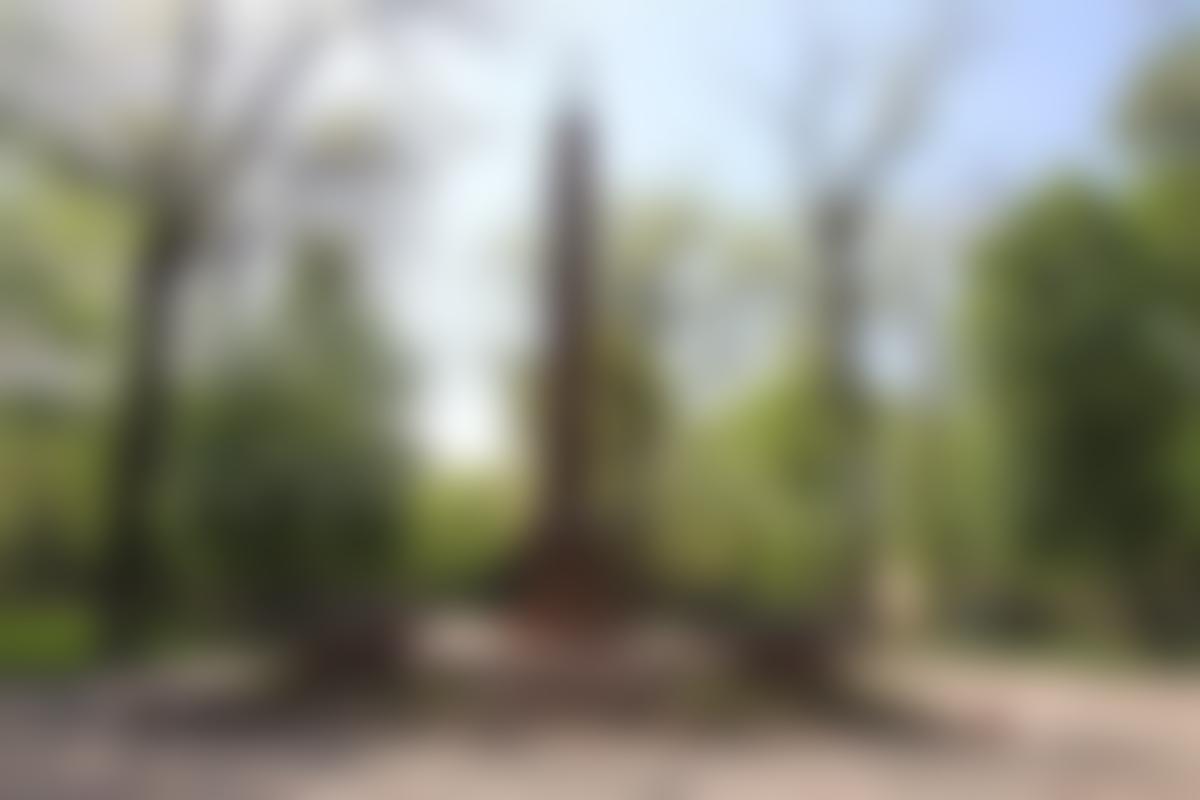 Demo Image