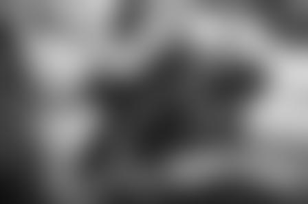 Demo Image