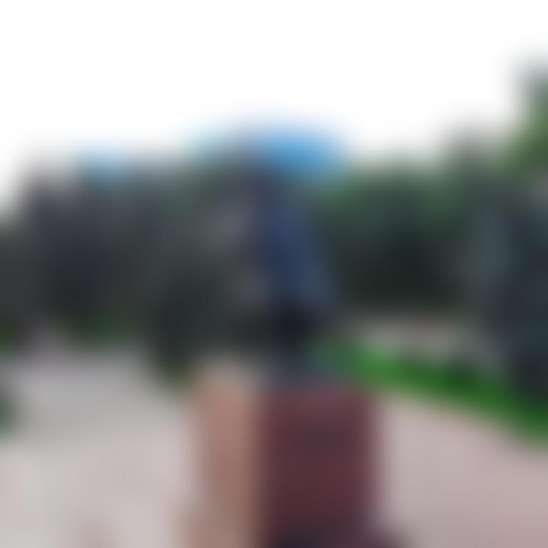 Demo Image
