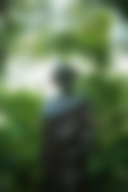 Demo Image