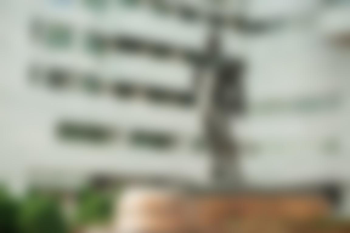 Demo Image