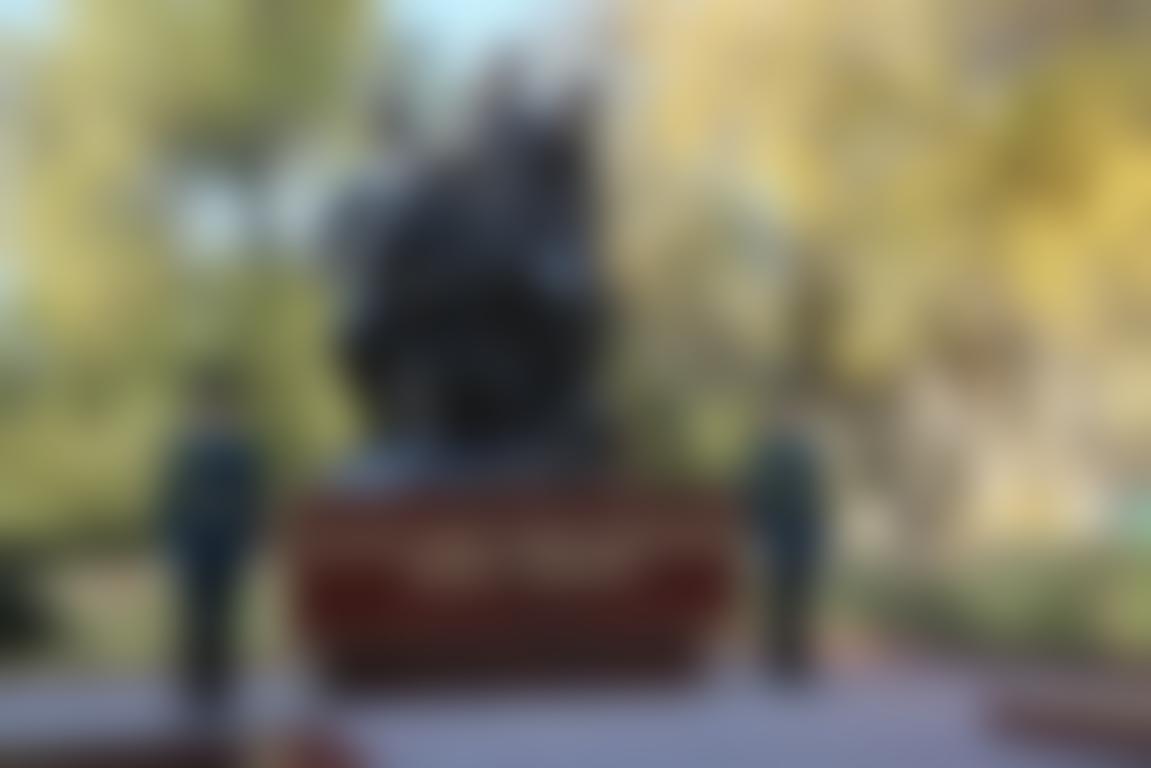 Demo Image