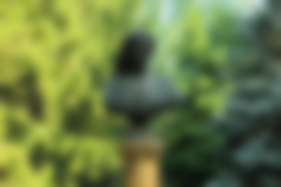 Demo Image