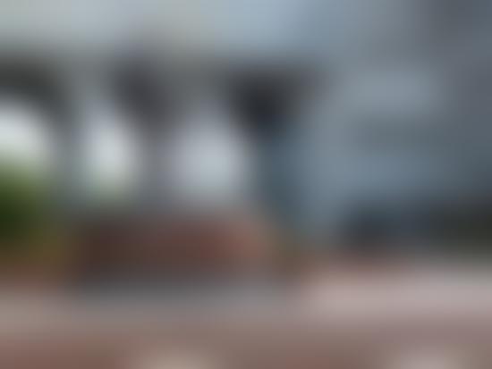 Demo Image